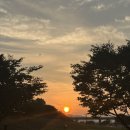 낙동강변6 | 안동 러닝 코스 안동 낙동강변~월영교 달리고 안동 한우국밥