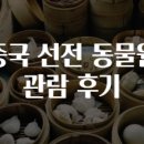 동물원 | 중국 선전 동물원 관람 후기