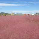 장기리마을회관 이미지