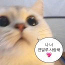 청계호수 자작나무숲 캠핑장 이미지
