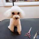 예뻐지개 이미지