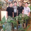 모랑모랑 이미지