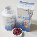 (주)조이셀 이미지