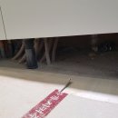 크린다모아 이미지