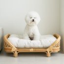 껌딱지펫 | 에스닉 라탄 강아지침대 쇼파 고양이해먹 애견 펫베드 반려견 애완견 방석 솔직 후기
