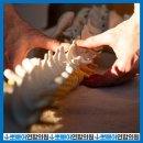 참연합의원 이미지