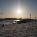 별바우목장 이미지