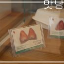 딸기노래광장 이미지