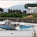 을숙도 철새공원 이미지