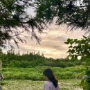 월정항아리갈치구제주해물통 이미지