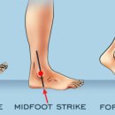 바디밸런스3.0 이미지