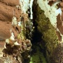 파리바게트(동일타워점) | [부산] 파리바게트 두쫀팝 케이크 구매 후기