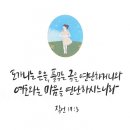 비유설교(5) 새 포도주는 새 부대에...... 본문 : 마 9:16-17 (신13) 이미지