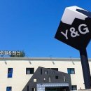 와이앤지(Y&G) 이미지