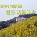 금계국이 아름다운 천안 입장 천흥저수지(2012.06.6) 이미지