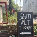 도곡2동 주민센터 | 메봉역 호주식 브런치 카페 센티맷 솔직후기