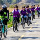 낙동강자전거교실 이미지