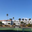 위미 모루왓 이미지