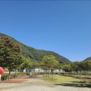 동산천사 어린이집 | 2023년 대전 서구 도마동 라온어린이집 친구들의 가족과 함께하는 즐거운 가을소풍소식이 도착했어요~