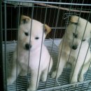 스마일하우스 이미지