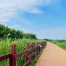 주남오리궁 이미지