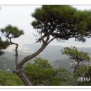 삼진여인숙 Daum카페