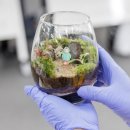 화곡3동 이미지