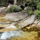 망 미 정 이미지