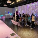 이랜드 뮤지엄 이미지