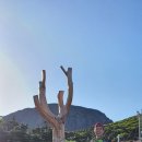 제주 스카이워터쇼 이미지