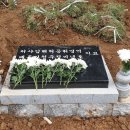 평장 이미지