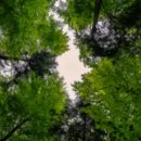 진해산소,일사가스 | 호두기름 보관법과 산패 방지 팁, 영양소 유지하는 법