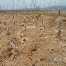 묘하우스 이미지