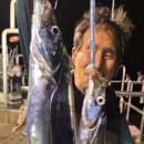 대마골 | 9월26일 출조후기