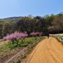 산울림청소년센터-3 이미지