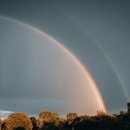 한국 SGI 이미지