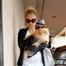 리치동물병원 이미지