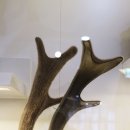 문상골농장 이미지