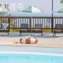 스테이가경주