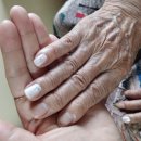 한국시니어센터 이미지