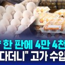 "달걀 한 판에 4만 4천 원"..'고가 수입' 질타 / SBS 8뉴스 이미지