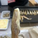 2024 메가쇼 관람후기 무료티켓, 주차 꿀팁 사진대방출