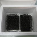 주동농장 이미지