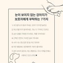 24시 스탠다드 동물의료센터 이미지