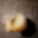 서울이용소 이미지