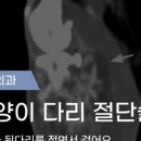 나의 동물메디컬 센터 이미지