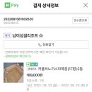 남이섬설1 이미지