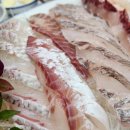 달봉이 | 광주 첨단지구 회 맛집 달봉이회수산 방문 후기