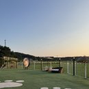 처음처럼 애견펜션 | 태안 애견동반 숙소 슈가몽 애견펜션 솔직후기 (잔디+수영장+불멍)