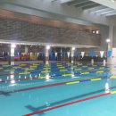 영주시 실내수영장 이미지